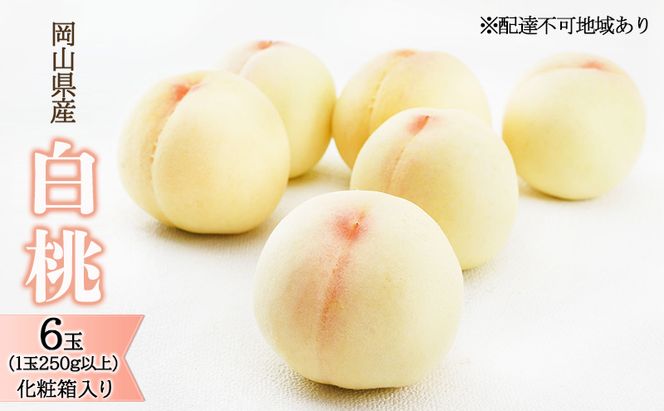 桃 2026年 先行予約 白桃 6玉（1玉250g以上）化粧箱入り もも モモ 岡山県産 国産 フルーツ 果物 ギフト 