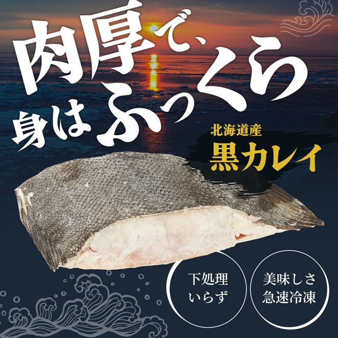 北海道産 訳あり黒かれい 切身 1kg 鰈 カレイ 煮つけ 魚 魚類 海魚 海鮮 北海道 厚岸町