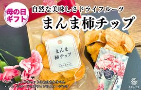 【母の日ギフト】まんま柿チップ 200g (40g × 5袋) ドライフルーツ  和歌山県産 果物使用 国内製造 【みかんの会】 AX353