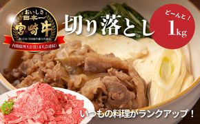 ＜宮崎牛　和牛　切り落とし1kg＞ K01_0011_1