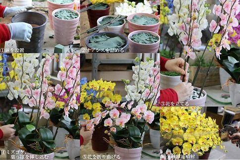 綺麗で丈夫な三河陶器で贈る光触媒胡蝶蘭小輪５本立（白の陶器×白色の花）H100-102