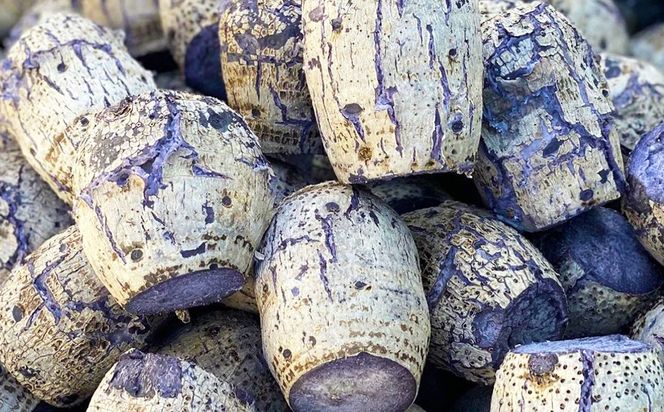 田芋農家が作る田芋パイ 計10個（2個入り×5袋） 芋 おいも 野菜 産地直送 スイーツ お菓子 おやつ 冷凍 沖縄県 金武町