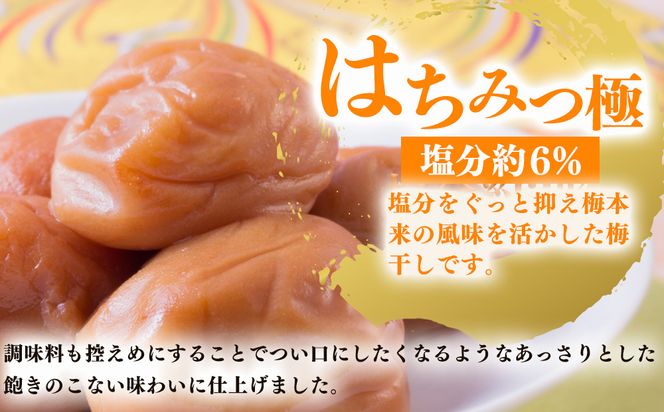 【定期便/2か月ごと/全5回】紀州南高梅はちみつ極塩分約6％（850g）