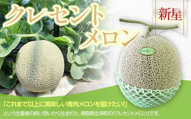 785.【先行予約】青肉メロンの新星「クレセントメロン」うれしい！3~4玉入　※2026年７月中旬より順次発送 313726_AS010