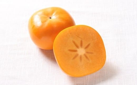 福岡ブランド！森部の秋王 セミドライフルーツ5個セット 柿 かき カキ フルーツ 果物 くだもの スイーツ