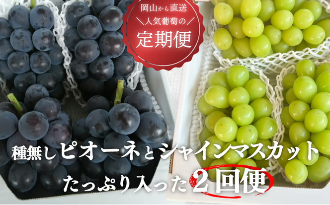 【2026年先行予約】ピオーネとシャインマスカット、たっぷり2kgの2回便！(定期便) (岡山県産)【KF-T005-04】