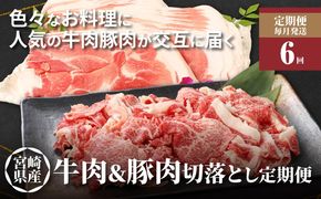 牛肉・豚肉交互にお届け！【6か月定期便】 K16_T003_3
