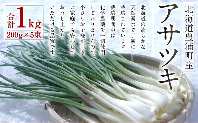 アサツキ 200g×5束 【2027年2月上旬以降順次発送】 