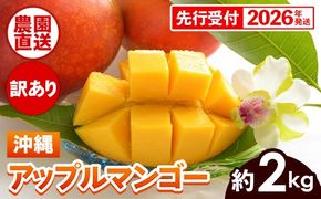 【先行受付】【2026年発送】ヤマト農園 アップルマンゴー訳あり約2kg（4～6玉）- 先行予約 沖縄県産 産地直送 南国フルーツ 旬の味覚 季節の果物 ご自宅用 訳アリ 沖縄マンゴー 沖縄県 八重瀬町