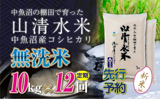【令和8年産 先行予約】【定期便／全12回】無洗米10kg 新潟県魚沼産コシヒカリ「山清水米」