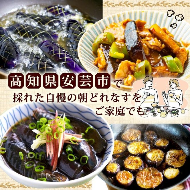 朝採れナス 選べる 約1.5kg ~ 3kg 単品 定期便 茄子 ナス 国産 高知 農家直送 野菜 ベジタブル 新鮮 なす 薄皮 焼きナス 美容 健康 朝どれ 焼き肉 アウトドア BBQ 和食 洋食 中華 おかず なすび せんとうふぁーむ 18本程度 42本程度 常温 栽培 農業 地産地消 旬 夏野菜 ヘルシー ビタミン ミネラル 食物繊維 ポリフェノール 料理 家庭菜園 レシピ 安芸市 高知県