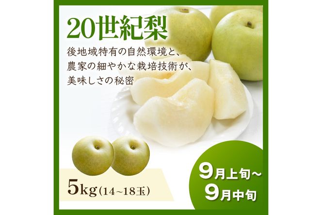 JA京都がおすすめする京丹後フルーツ定期便～砂姫コース～（2026年6月中旬～発送） 京のブランド産品 メロン めろん 梨 なし ナシ スイカ 西瓜 すいか 国産 砂丘 甘い 高糖度 高級 期間限定 ふるさと納税 フルーツ 先行予約 お取り寄せ 農協　JK00041