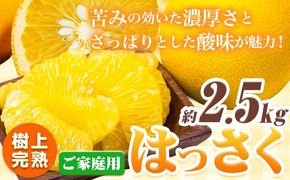 樹上完熟 ご家庭用 訳あり はっさく 八朔 みかん 2.5kg+250g（傷み補償） 池田鹿蔵農園 @日高町《4月上旬-5月末頃出荷》和歌山県 日高町 送料無料 はっさくみかん 家庭用 光センサー選別 訳あり八朔 訳ありはっさく【配送不可地域あり】---wsh_idn322_4j5m_25_8000_2500g---