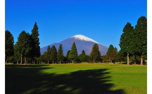富士平原ゴルフクラブ　プレー利用券20枚（80,000円相当） ｜ ゴルフ ゴルフ場 ごるふ プレー券 利用券 チケット