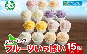 1338.アイスクリーム ジェラート 食べ比べ 15個 アイス フルーツ いっぱい C セット 手作り 北海道 弟子屈町