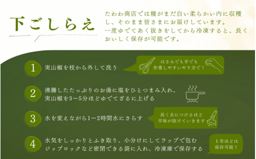 【先行予約・数量限定】 ぶどう生山椒 500g 【2025年5月中旬から5月下旬にお届けいたします】/山椒 さんしょう 生山椒 生さんしょう 調味料 スパイス 香辛料 山椒の実 山椒の実生 実【twn007A】