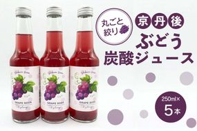 京丹後のぶどう炭酸ジュース（ソーダ） 小瓶5本入り（2025年9月下旬～発送）　SF00028