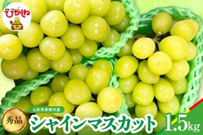 【2026年産】シャインマスカット 秀品 約1.5kg 山形県 東根市 松栗提供 hi062-065