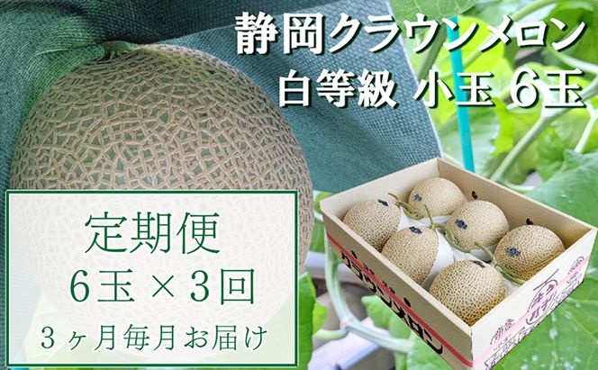 【3か月定期便】クラウンメロン【並(白等級)】小玉(1.1kg前後)6玉入り 果物 メロン青肉 フルーツ デザート 高級メロンブランド 高級メロン ブランドメロン