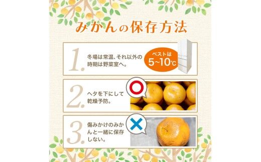 【2026年11月発送】＼光センサー選別／農家直送 【家庭用】こだわりの有田みかん　約5kg＋150g(傷み補償分) みかん ミカン 有田みかん 温州みかん 柑橘 有田 和歌山 ※北海道・沖縄・離島配送不可/みかん ミカン 有田みかん 温州みかん 柑橘 有田 和歌山 産地直送【nuk160-11C】