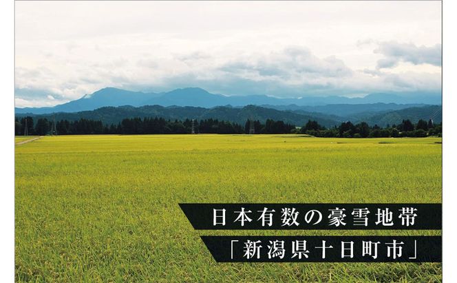 令和8年産米 先行予約 新米 極上魚沼産コシヒカリ 令和8年産米 2kg(1kg×2) 無洗米【先行受付10月下旬～順次発送】 ゆきまち米