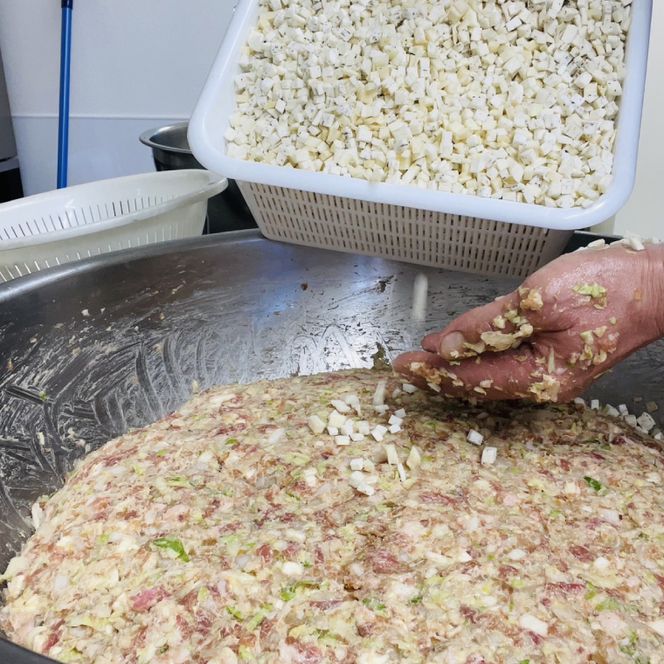 御船餃子（70個入り）【マコモタケ ぎょうざ ギョウザ 焼き餃子 水餃子 冷凍 小分け パック 茨城県 鹿嶋市 ふるさと納税】（KNO-1）