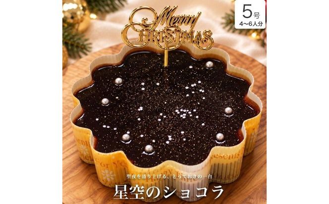 クリスマスケーキ　星空のショコラ 5号 4-6人分　パティスリー天使のおくりもの ※2026年12月～発送