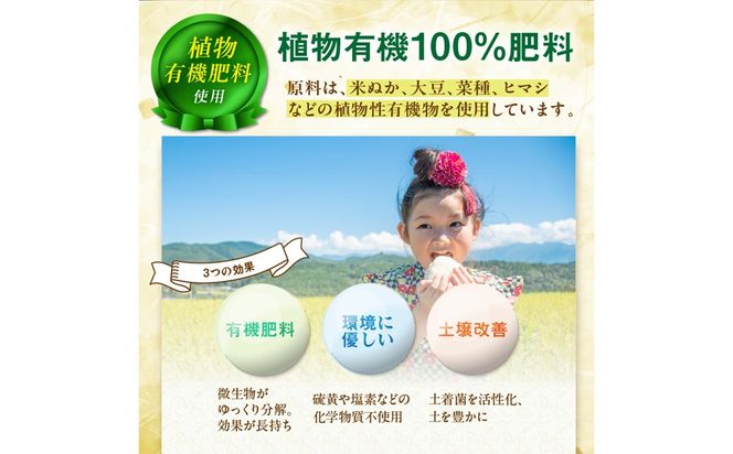 京丹後米～水と文化が育んだ～野間のこしひかり 2kg　FP00007