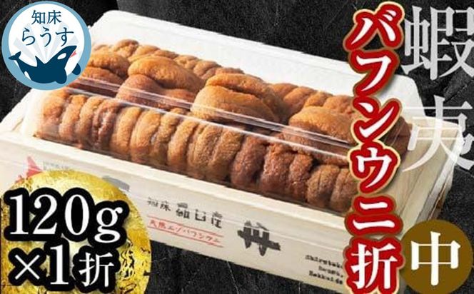 ＜先行受付＞＜27年1月～6月内発送＞エゾバフンウニ（中）折うに 120g×1枚 016942_BY008