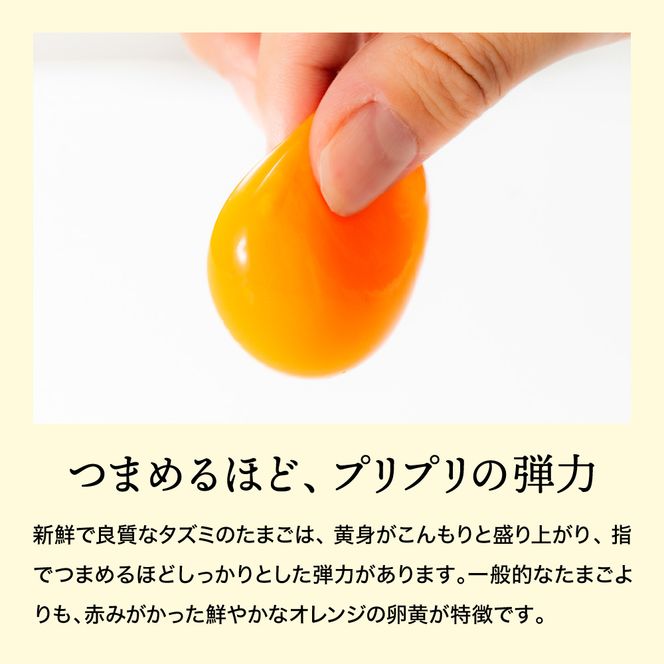 【累計600万個突破！】★TVで紹介されました★【定期便】タズミの卵Ｍサイズ（20個×3か月）015AB02N.／こだわり卵 市川町産 兵庫県産 たまご たまごかけご飯 玉子 生卵 鶏卵 タマゴ 卵焼き TKG 3か月 定期便