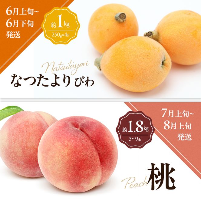 讃岐のフルーツ6回定期便【B】【さぬきひめ苺】【デコポン】【なつたより(びわ)】【桃】【さぬきゴールドキウイ】【小原紅(さぬき紅みかん)】