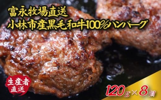 [自社農場和牛]富永和牛手作りハンバーグ(黒毛和牛 ハンバーグ 牛肉 牛肉100% 国産 冷凍 調理済 宮崎 惣菜 小林市)