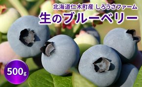 [先行受付] 北海道 仁木町産 有機栽培ブルーベリー 500g（サイズ混合） 果物 くだもの フルーツ 果実 生ブルーベリー 国産 国産ブルーベリー 日本産 [しろうさファーム]