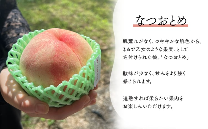 【2026年先行予約】甘い桃「なつおとめ」上級品 5~7玉入 (岡山県産) 【KF-A017-01】