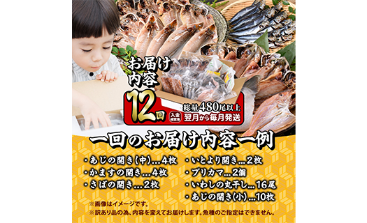 ＜定期便・全12回 (毎月)＞訳あり 干物大満足BOX (480尾以上)定期便 簡単 調理 干物 あじ かます さば いわし みりん干し 丸干し 開き 魚 海鮮 冷凍 詰め合わせ セット 大分県 佐伯市【AQ91】【やまろ渡邉】