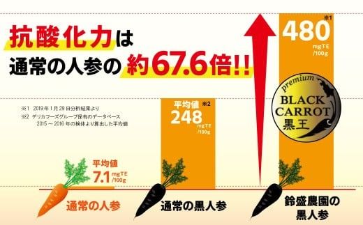 【期間限定】おどろきの甘さと抗酸化力！　黒人参『黒王』5Kg　にんじん スーパーフード 健康 メロン みかん 甘い 糖度 ジュース 自慢 カラフル ブラック キャロット 農作物 自然 野菜 老化防止 H022-014