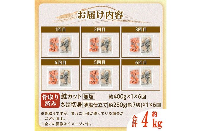 【定期便・全6回(連続)】骨取り さば切身と鮭カットのセット(総量約4kg) 鮭 小分け 冷凍 サーモン シャケ サケ サバ 鯖 骨なし 骨取り セット 魚 魚介 【AW-106】【丸正水産】