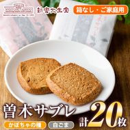 isa144 曽木サブレセットご家庭用20枚セット(かぼちゃの種10枚・白ごま10枚) 洋菓子 クッキー ビスケット おやつ 焼き菓子 黒糖 使用 厚焼き サブレ 贈り物 ご進物 プレゼント 詰合せ 詰め合わせ 【新富大生堂】