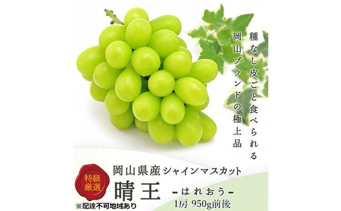 ぶどう 2026年 先行予約 シャイン マスカット 晴王 1房 950g前後 ブドウ 葡萄  岡山県産 国産 フルーツ 果物 ギフト 岡山のブドウ デザート 食べ物 日本産 