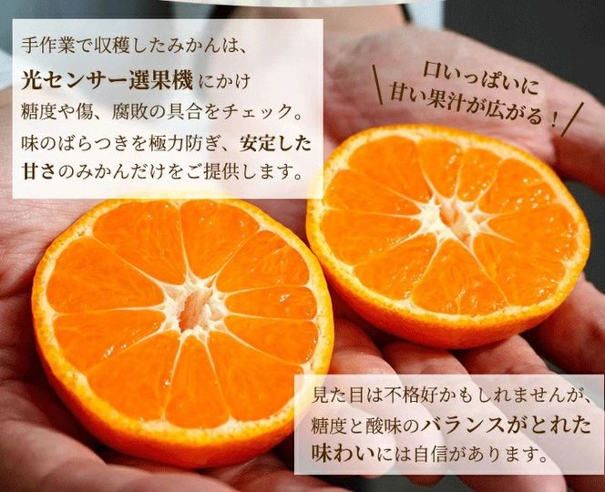 家庭用 蔵出しみかん 5kg+250g（傷み補償分）【光センサー選果】