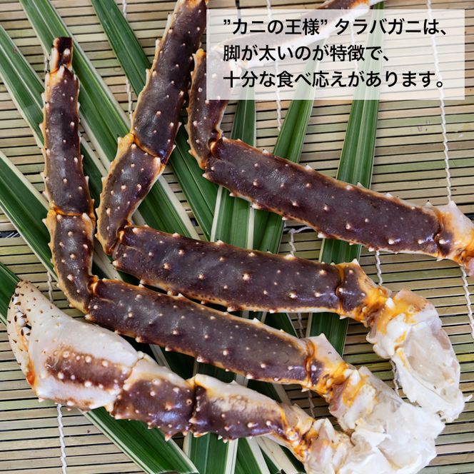 生たらばがに 0.6kg（総重量 0.8kg ） 特大 4L シュリンクパック カジマ たらば蟹 タラバガニ たらばがに かに カニ 蟹