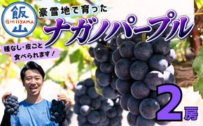 【先行予約】 ナガノパープル 2房  （約1kg） 《 2026年10月〜発送 》 （Bv-001）