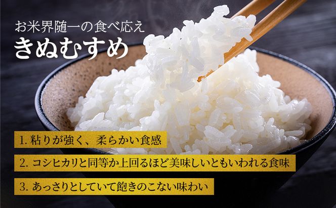 お米 令和7年産 きぬむすめ 白米 6kg(3kg×2袋) 米 単一原料米 精米 ごはん ご飯 白飯 小分け