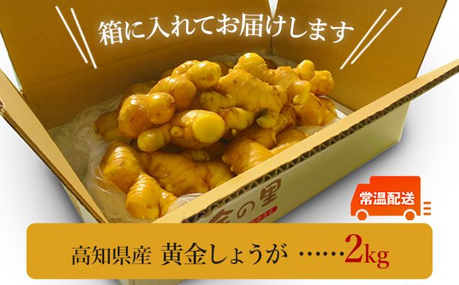 生姜一筋70年の生姜老舗問屋 黄金しょうが2kg - 【7日程度で発送】 早い スピード発送 7日程度 早く 届く 生姜 生産量日本一 おかず お料理 しょうが 料理 飲み物 Xnb-0007
