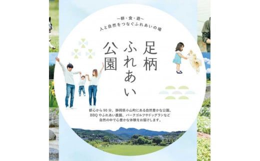 H13足柄ふれあい公園　手ぶらでBBQ（2名様）