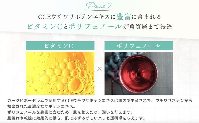 フィエナ カークビボーセラム 27ml