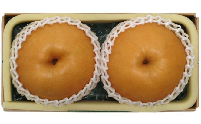 梨 2026年先行予約 岡山県産 あたご梨 約1.6kg 2玉 お届け 11月下旬～12月中旬