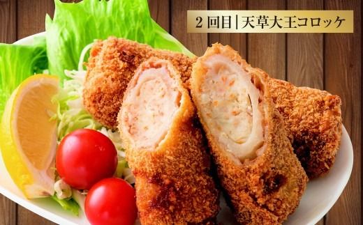 【5回定期便】ご飯の味方定期便 ハンバーグ コロッケ 大砲巻き メンチカツ 定期 定期便 5種 揚げ物 惣菜 おかず 冷凍 国産 九州産 熊本県 上天草市