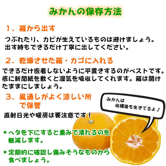【先行予約】【特秀品】有田みかん 和歌山県産 約10kg（M～2Lサイズ混合）