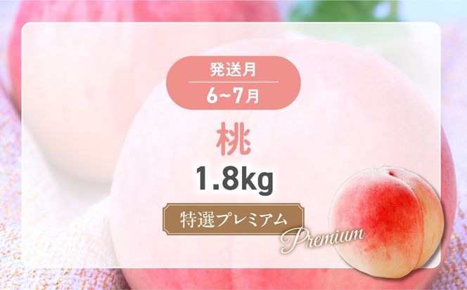 【✩先行予約✩2026年/令和8年発送分】【大人気】プレミアムフルーツ定期便　AD-219